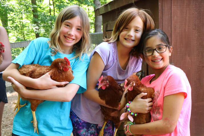 Summer camp girls holding chickens at Young Mountain Farm and Mountain Magic Camp