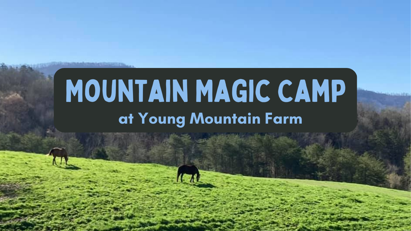 mountain magic summer camp at young mountain farm 